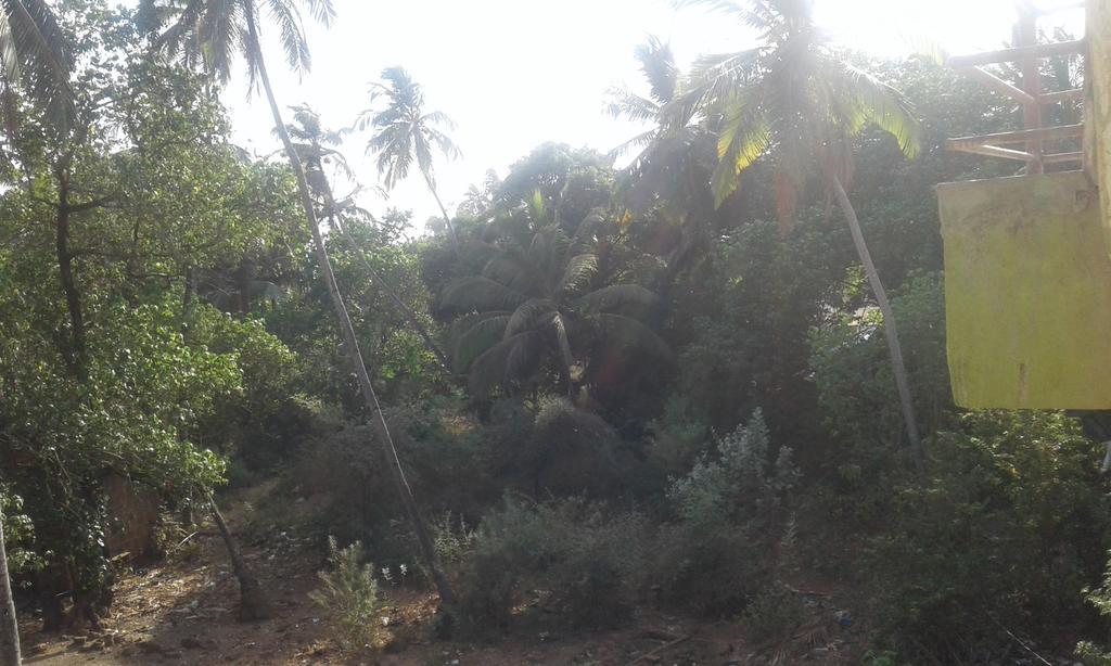 Shanti Guest House Arambol Luaran gambar